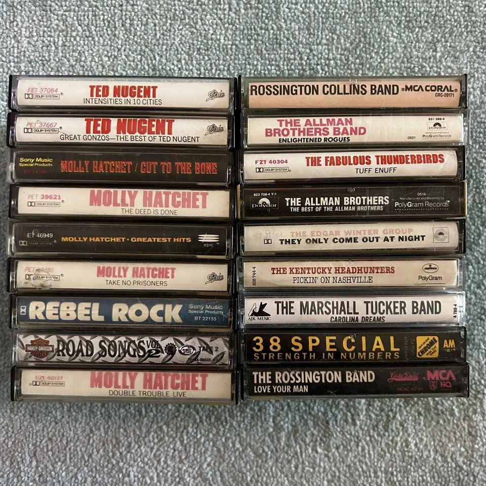 Cassette Tape Lot Ted Nugent Molly Hatchet Marshall Tucker Allman Bros Edgar Win Foto 2 de 4