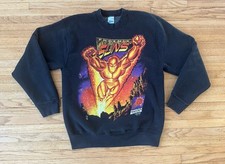 Vintage Phoenix Suns Salem Superheroes Sweatshirt Mens M EUC Rare NBA 90 s