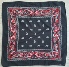 Vintage Black, Red, White Cotton Colorfast Paisley Bandana Handkerchief RN 13960