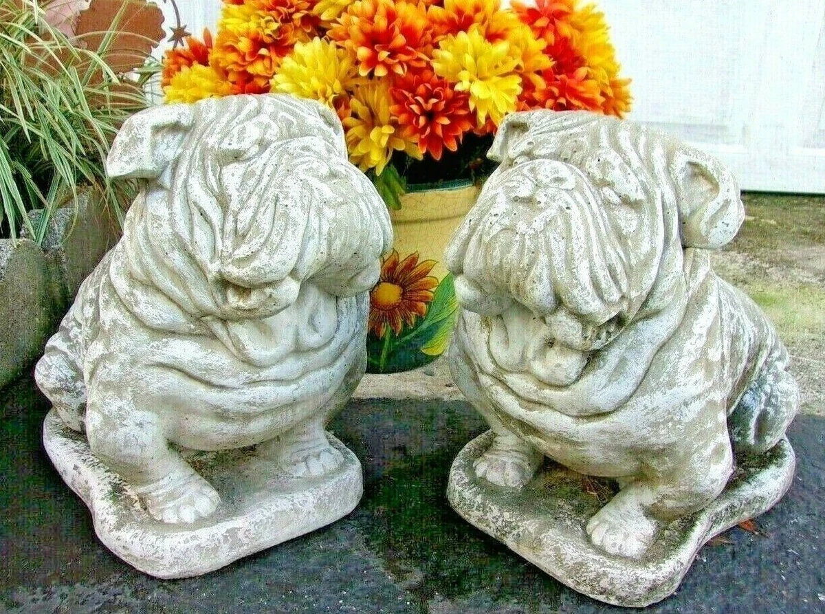 Why Do Dogs Pick Up Stones