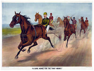 Decor Poster. Fine Graphic Art. A sure horse for money. Home Wall Design. 1155