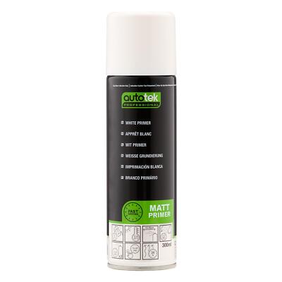 Autotek schnelltrocknender hochdeckender Aerosol-Sprühlack weiß Grundierung 300 ml