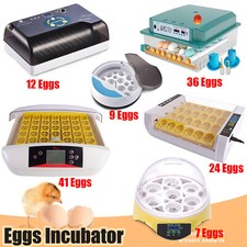 Digital Eggs Incubator Hatcher Fully Automatic Turning Temperature Control