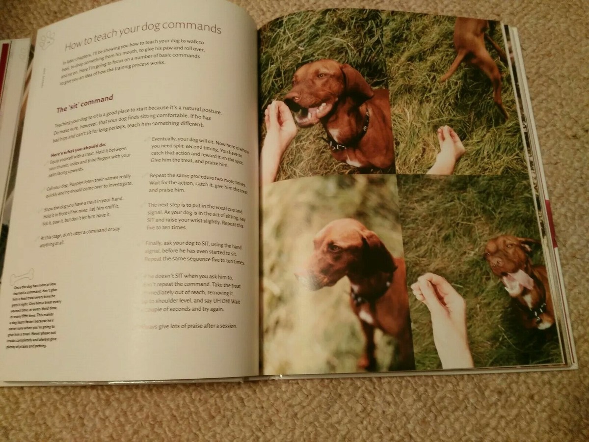 It's Me or the Dog: How to have the Perfect Pet by Victoria Stilwell  (Hardback,…