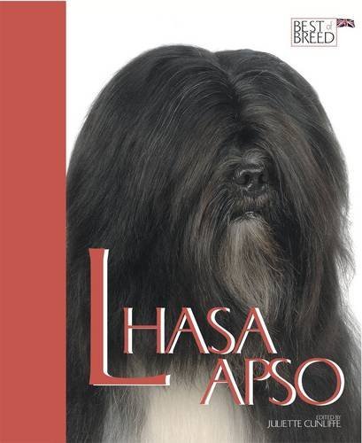 Lhasa Apso - Best of Breed By Juliette Cunliffe