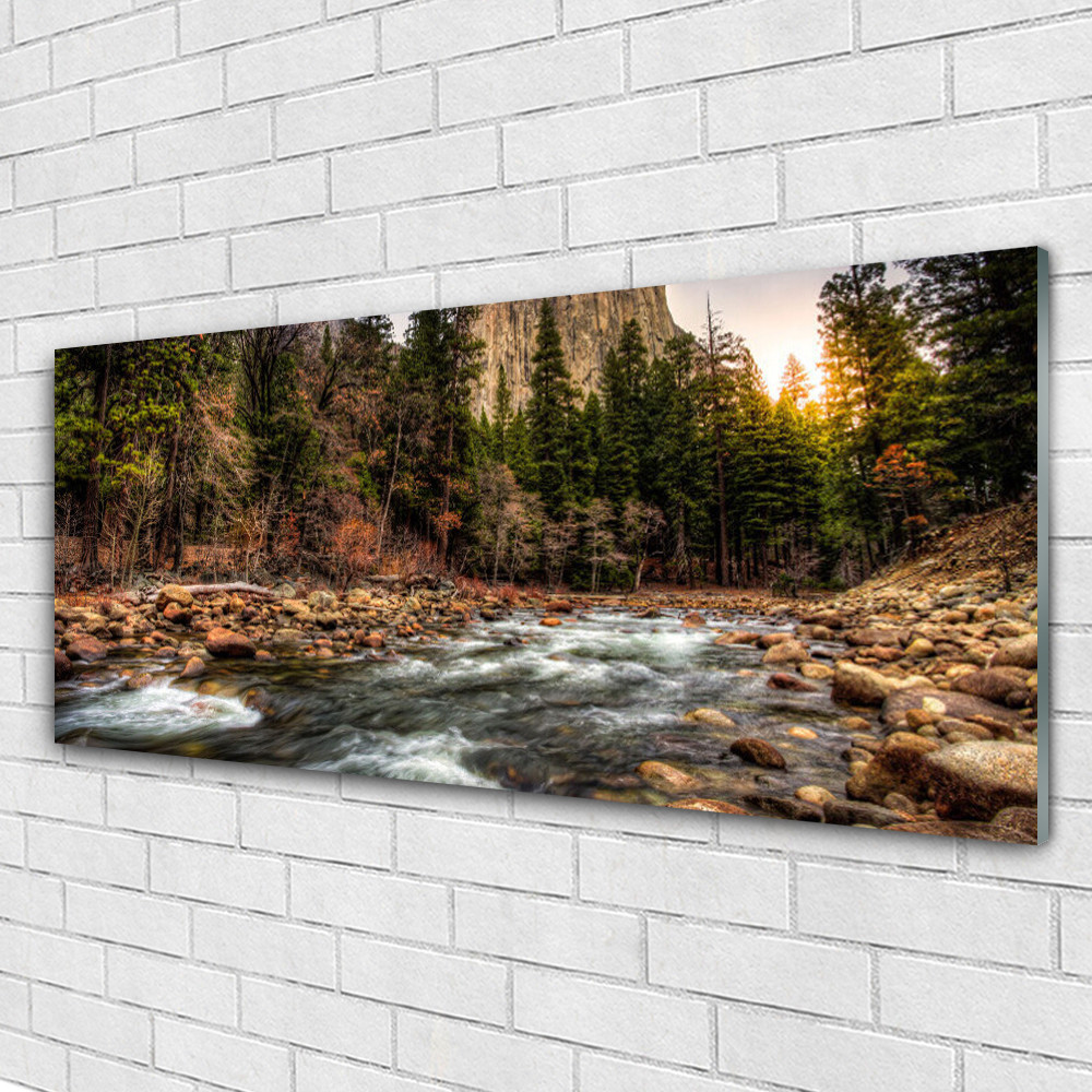 Décoration murale Forêt et Mer 125x50 en Plexiglas pour chambre zen