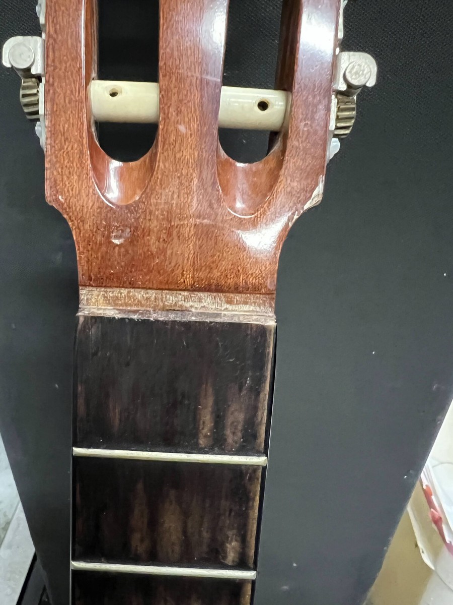 Jasmine by TAKAMINE JS341 Studio Series Rosewood Fingerboard