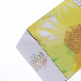 SEGA Premium Figure Asuka Langley Soryu Summer Dress Neon Genesis Evangelion