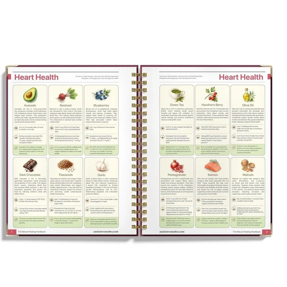 The Natural Healing Handbook, Spiral-Bound Guide for Herbal Remedies and Natural - image 4 of 4