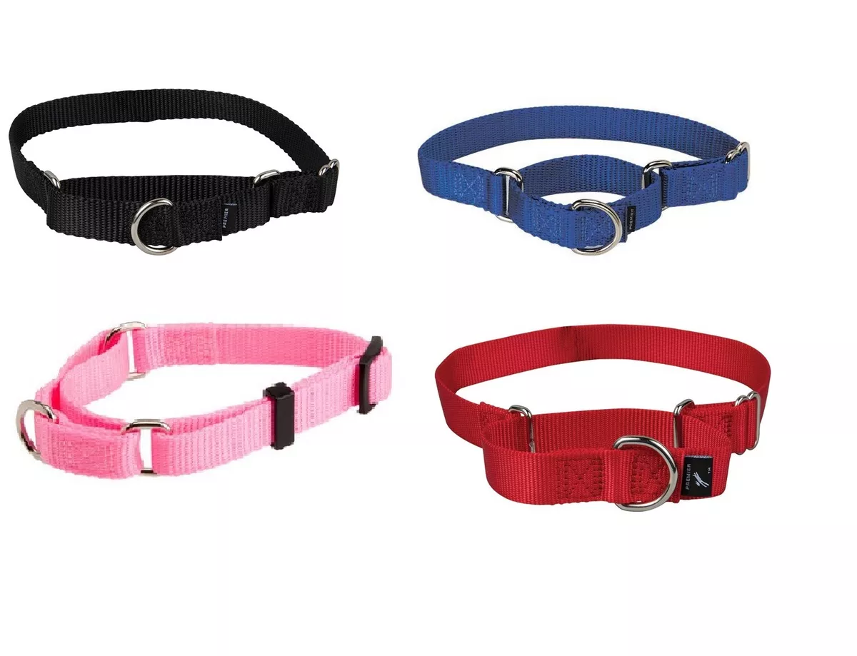 Adjustable No Slip dog collar S XL 4 colors high quality