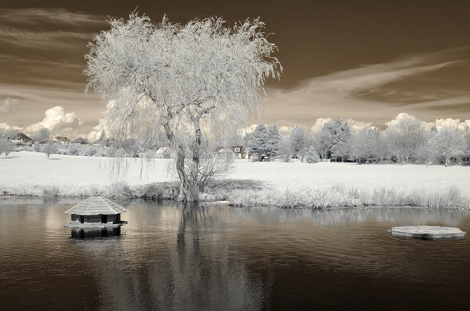 Nikon D90 Infrared converted 720nm Digital IR infrared Camera.Standard infrared - Image 2 of 4