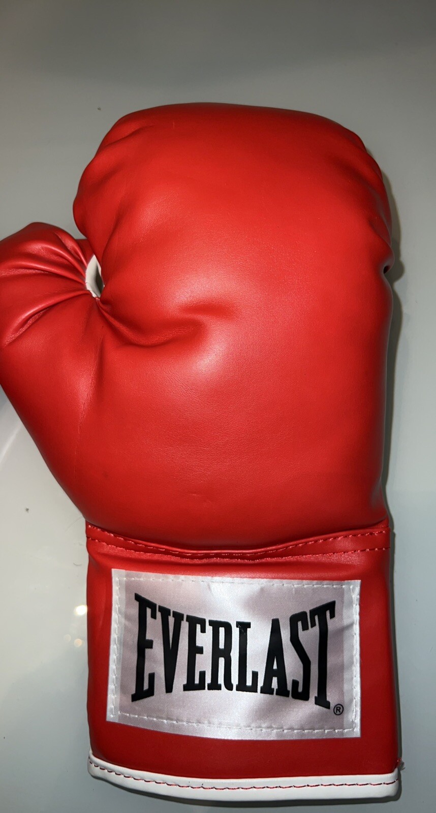 EVERLAST Boxing Advanced Training Gloves 14 oz. Red & White Model