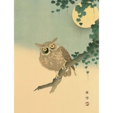 Nature Bird Japan Kono Bairei Owl Moon 12X16 Inch Framed Art Print