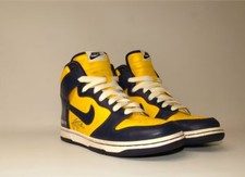 Nike Dunk LE 1998 High Michigan for Sale | Authenticity Guaranteed
