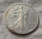 2013 $1 SILVER EAGLE = 1 OZ. .999 SILVER = U. S. MINT = UNCIRCULATED