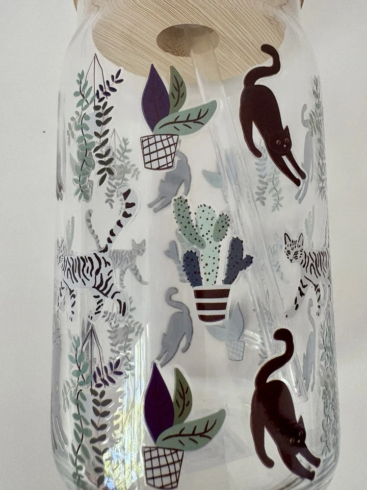 10 Strawberry Street «Кошки» 15 унций стеклянный стакан бамбуковая крышка и солома новый с Ярлыками! - Изображение 4 из 4