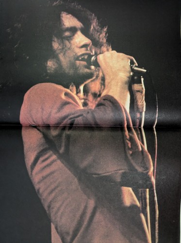 HIT PARADER Magazine August 1975 Stones, Bad Co., Queen, Blue Oyster Cult, AWB - Picture 9 of 14