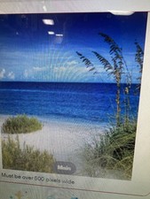 10'x20' Muslin 100 Hand-Painted Photo Backdrop Background 27-287