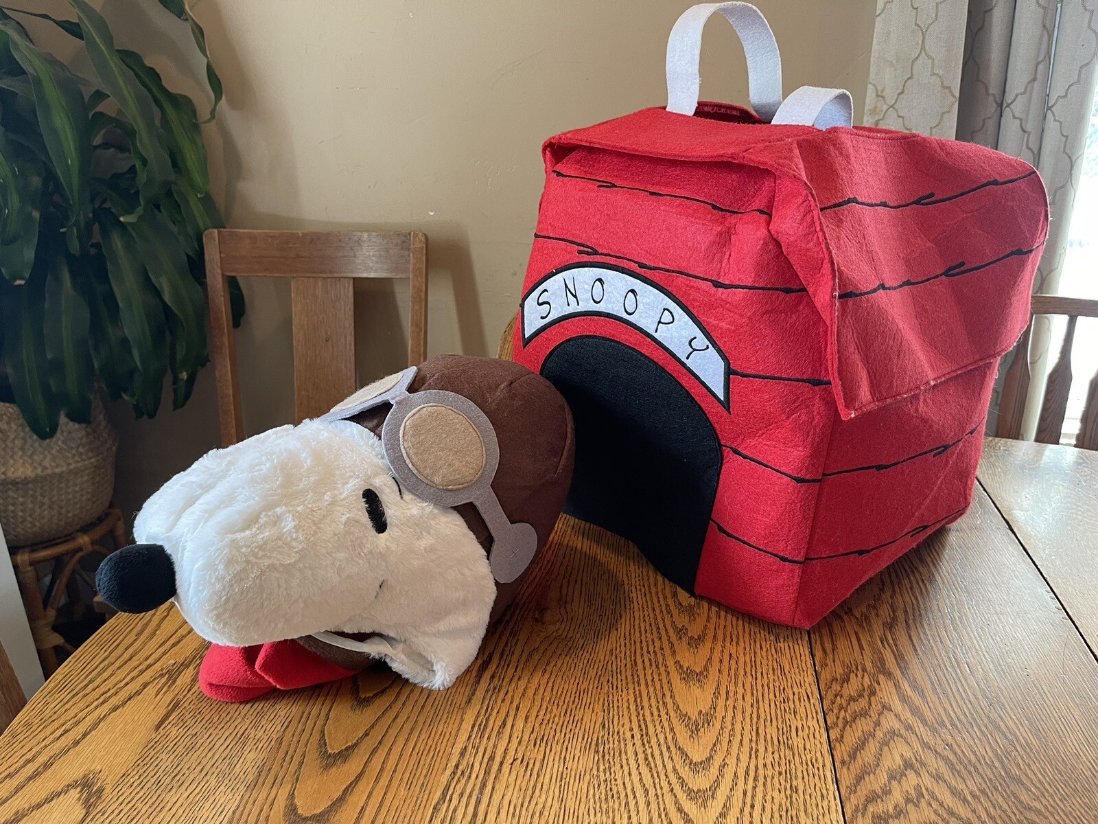 Pottery Barn Kids SNOOPY 3D Doghouse Size 3T Hallowee… Gem