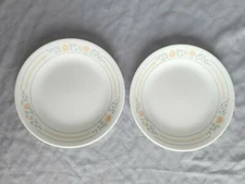 2 Apricot Grove Bread & Butter Plates by Corelle