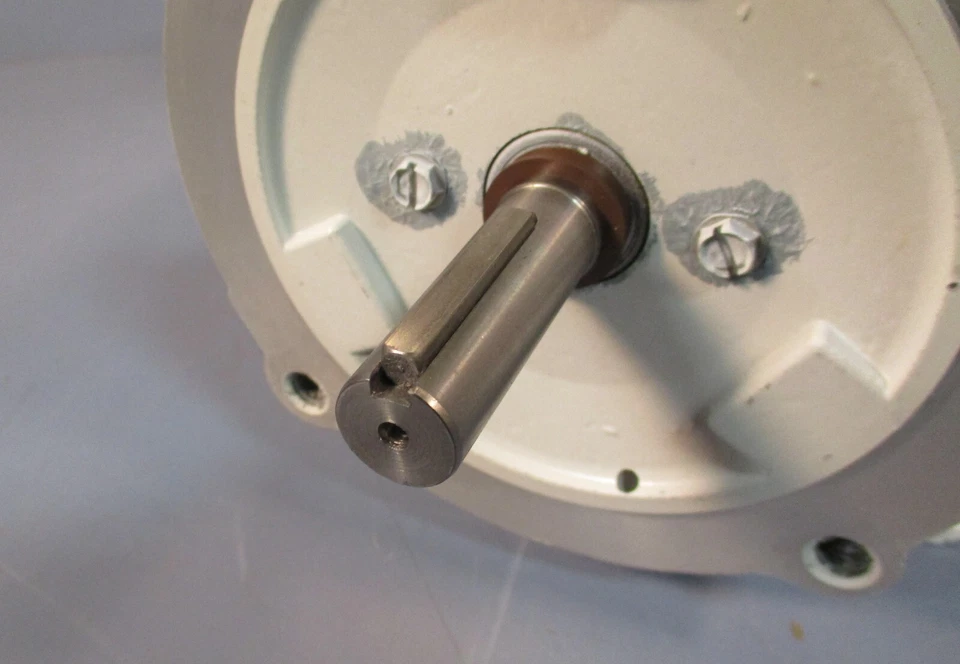 Baldor CDPWD3310 Washdown Motor 0.25 HP, 1750 RPM, 56C, 33-2142Z118 - Image 4 of 4