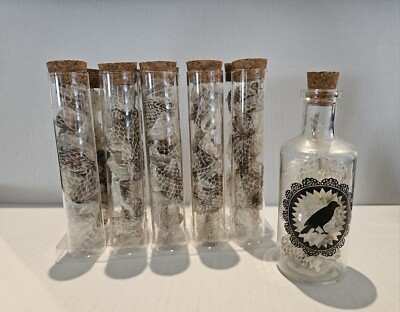 Lot Of 10 Viles Snake Molt Shed & Bonus Decorative Bottle- Crafts Or Collector