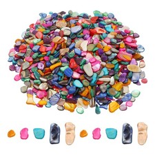 500g Crushed Shells Irregular Natural Mosaic Sea Shell Fragments Multicolor