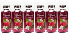 Lot of 6 Bath  Body Works SUN-RIPENED RASPBERRY Shower Gel 10oz Fullsize Wash