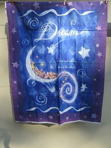 Those Who Dream Quilt Kit - Vintage Panel, Silver Borders & E.E. Schenck Back