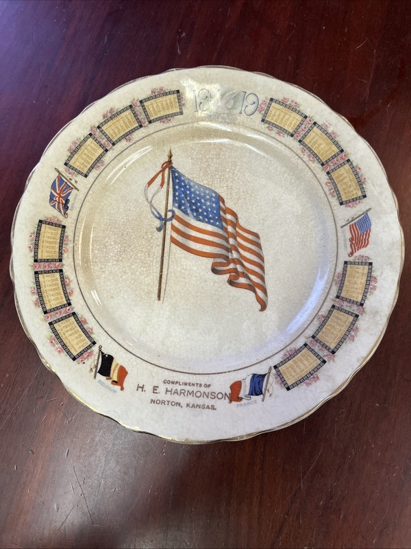 DE McNicol 1919 Flag 9 Inch Plate #918 Crazing Norton Kansas