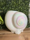 Fenton Art Glass nautilus shell vase in an iridescent opalescent finish