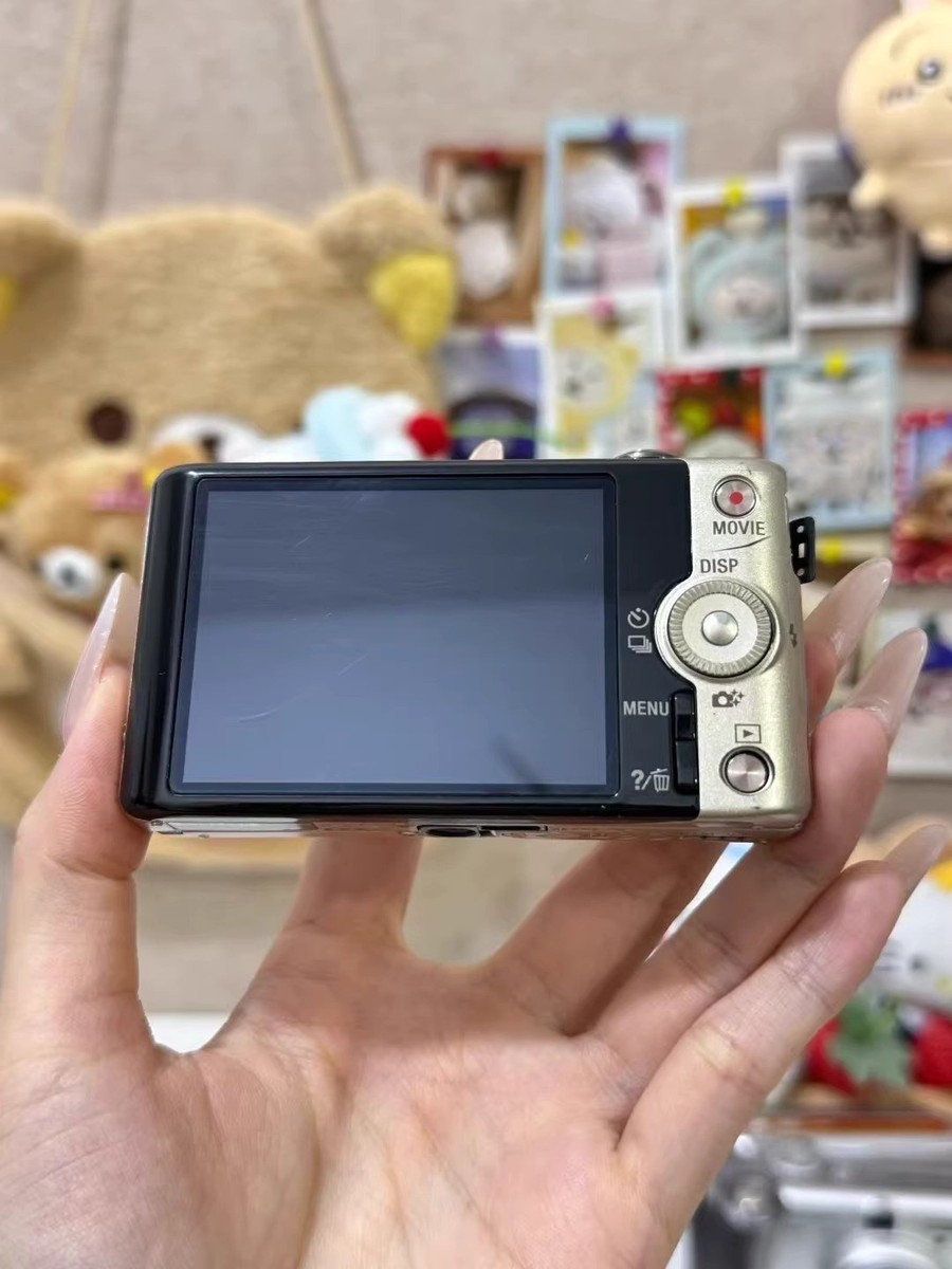 Sony Cyber-Shot DSC-WX220 DigitalCamera 18.2MP 10XOptical Zoom