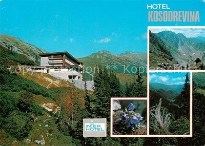 Nizke Tatry Slovakia Hotel Kosodrevina Dumbier Zvoncek alpsky Lomnista dolina