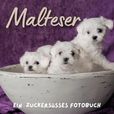 Malteser Ein Fotobuch Inés de Juan Taschenbuch 42 S. Deutsch 2022 27amigos