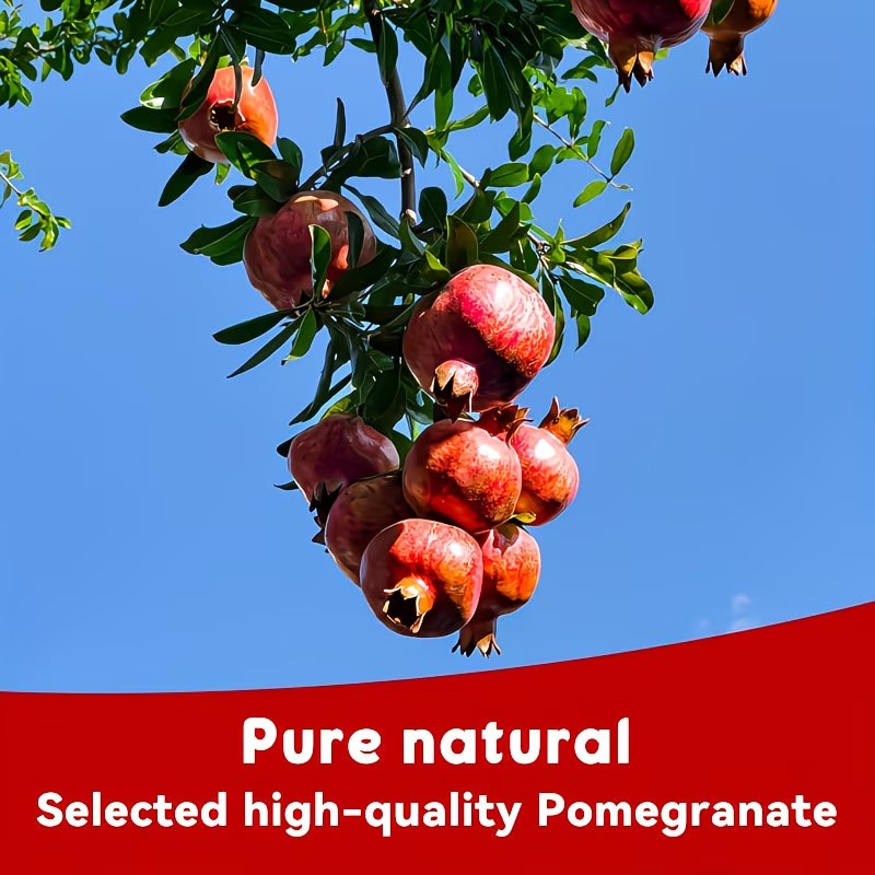 Organic Natural Pomegranate Powder&nbsp; Extract Powder No Added Sugar Or Additives