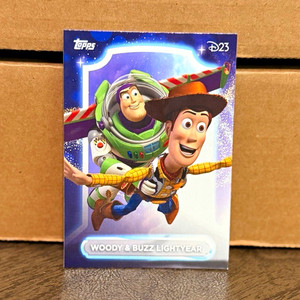 Toy Story D23 | eBay