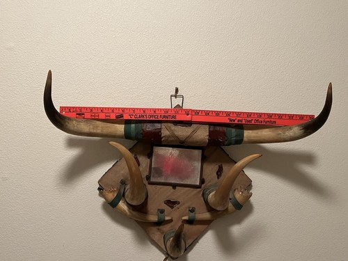 "Echter Scheunenfund" Vintage Stierhörner selbstgemachtes Wandbild. - Bild 15 von 18