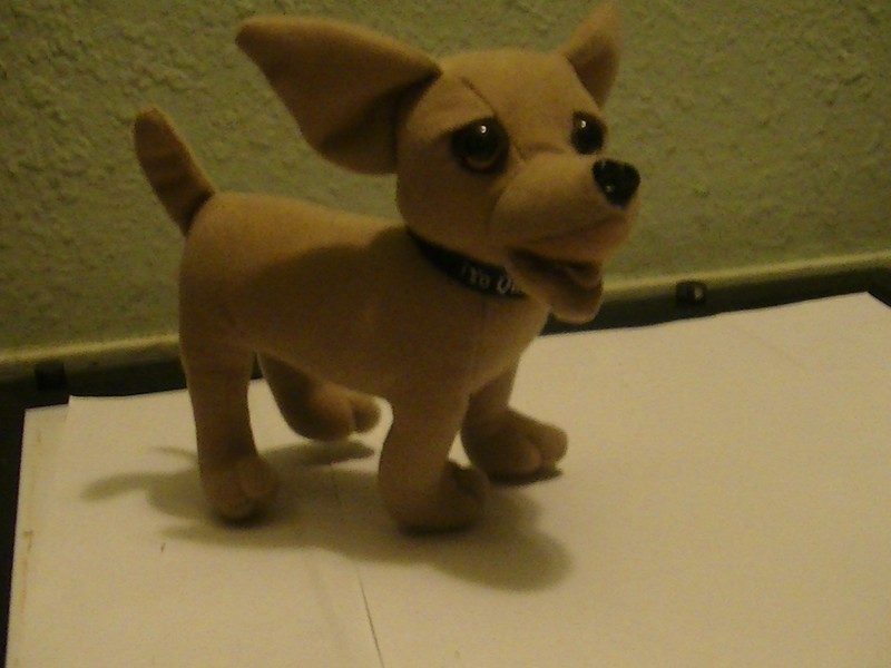 yo quiero taco bell working talking chihuahua dog