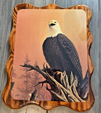 Framed Bald Eagle Lithograph Print Signed Fenske — listing 3