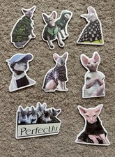 8 Funny Cute Hairless Cat Stickers Unique Stylish Matte Animal Sticker Set Lot