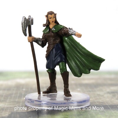 Dragonlance ~ QUALINESTI ELF #6 Shadow Dragon Queen D&D Icons warrior miniature