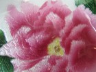 Bild 7 von 8