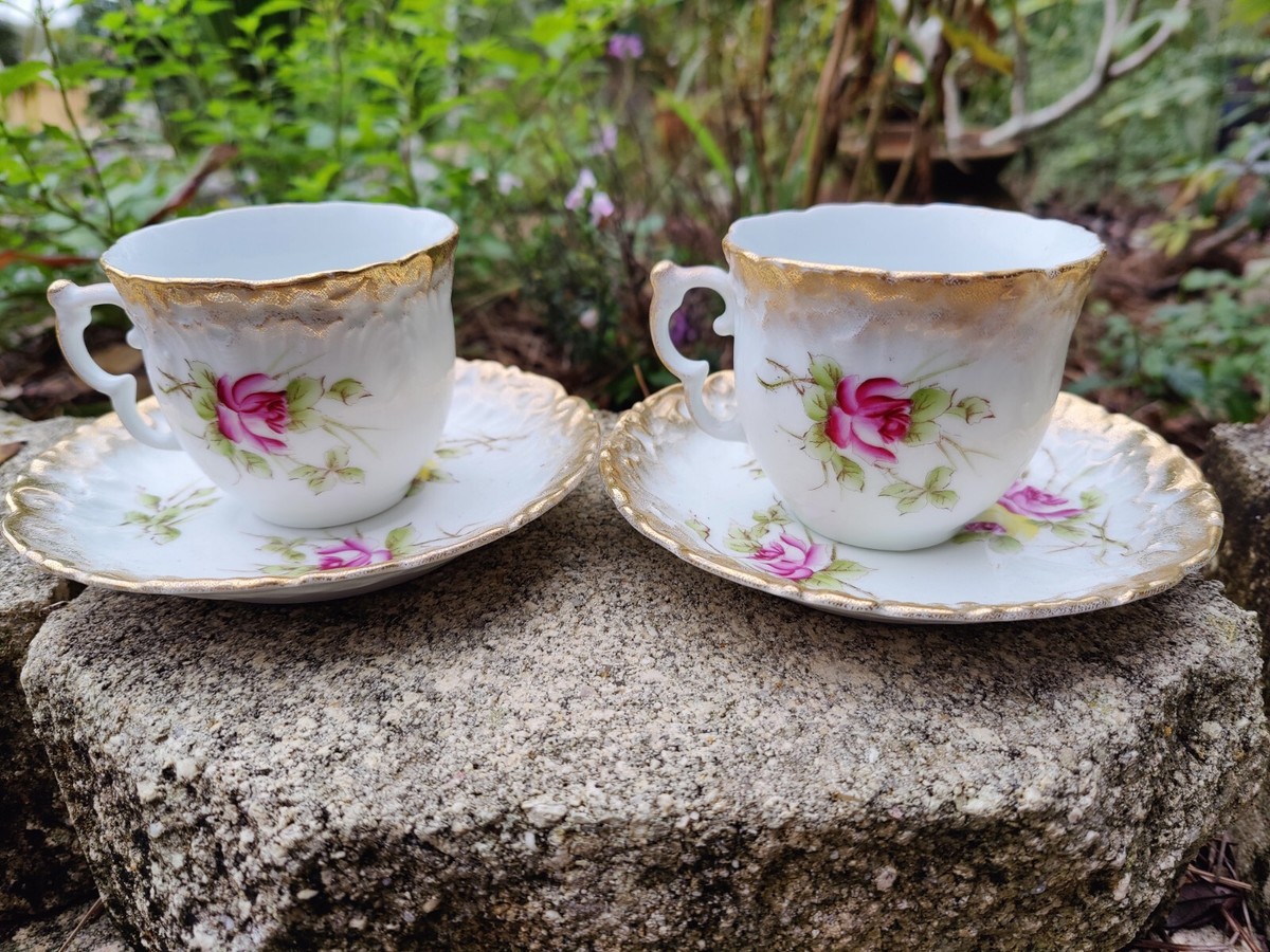 ANTIQUE DRESDEN PORCELAIN TEA CUP AND SAUCER FLORAL (2) | eBay