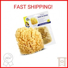 Baby Buddy Natural Yellow Sea Sponge, Newborn Bath Time Essential, Soft and Gent