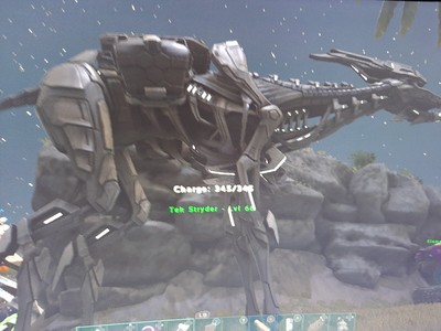 ARK: Lvl 66 Strider (Official server) 