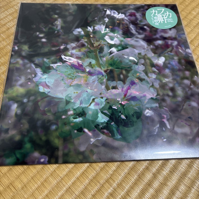 Jim O'Rourke Kafki's Ibiki   Shimin Kai LP NEW Japan Record 12'' Eiko Ishibashi
