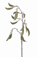 artplants KüNstlicher Zweig Erbsenpflanzen HüLsen Klaus, GrüN, 90Cm