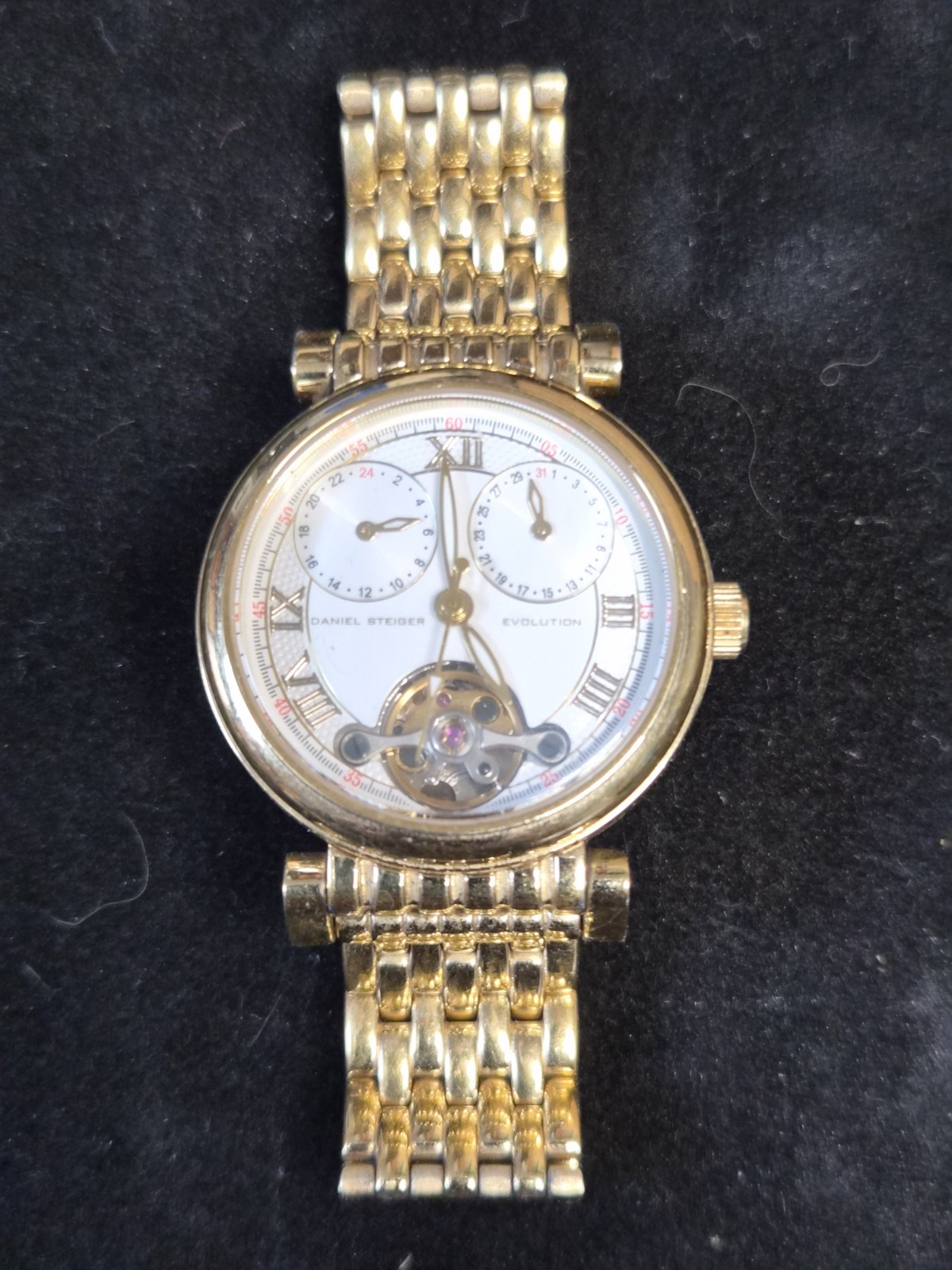 Daniel Steiger Evolution Mechanical Automatic Wri… - image 3