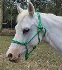 Handcrafted PONY Rope Halter Green - Horse Riding Headstall Equine