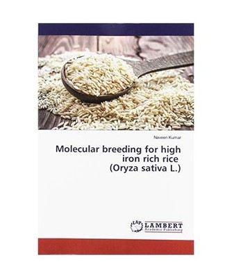 Molecular breeding for high iron rich rice [Oryza sativa L.], Kumar, Naveen